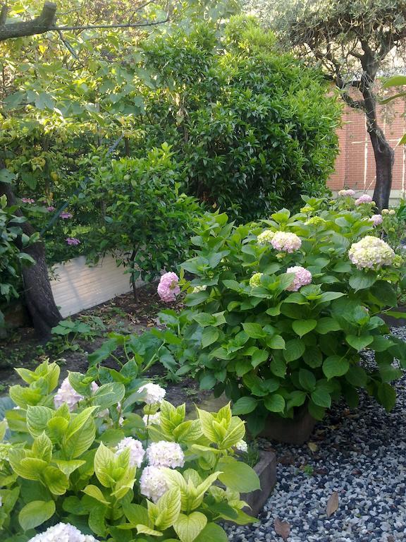 Eco B&B I Due Oleandri Marina Di Carrara Εξωτερικό φωτογραφία