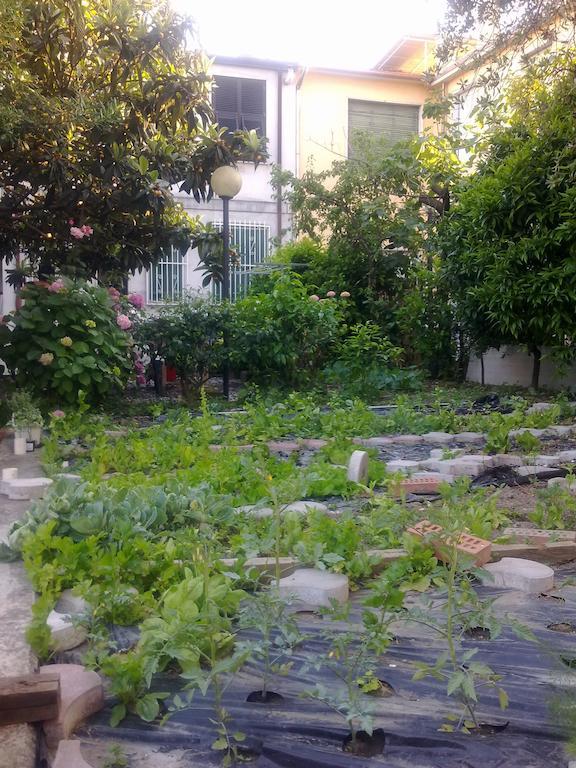 Eco B&B I Due Oleandri Marina Di Carrara Εξωτερικό φωτογραφία
