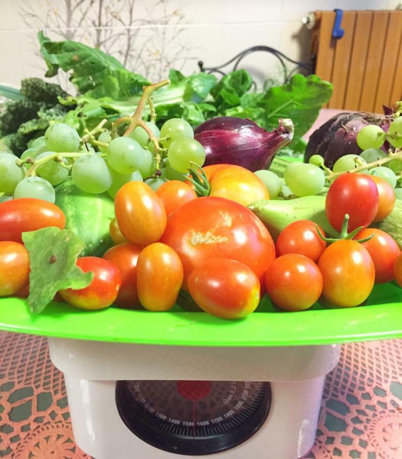 Eco B&B I Due Oleandri Marina Di Carrara Εξωτερικό φωτογραφία