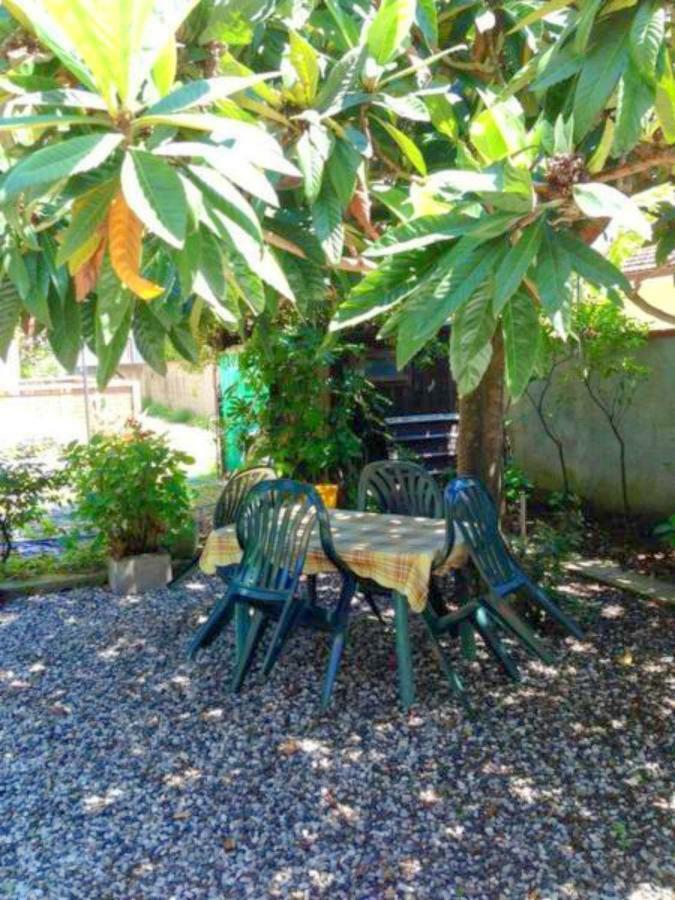 Eco B&B I Due Oleandri Marina Di Carrara Εξωτερικό φωτογραφία